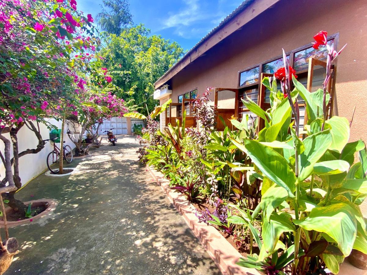 Villa Orchid Beach Guest House Bwejuu Exterior foto