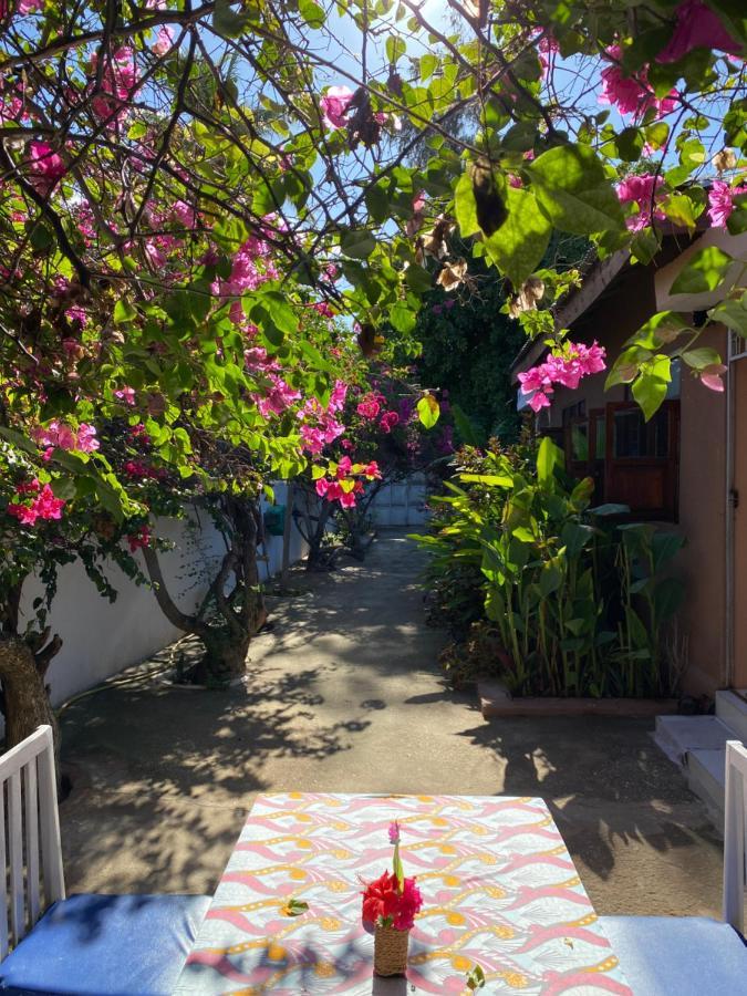 Villa Orchid Beach Guest House Bwejuu Exterior foto