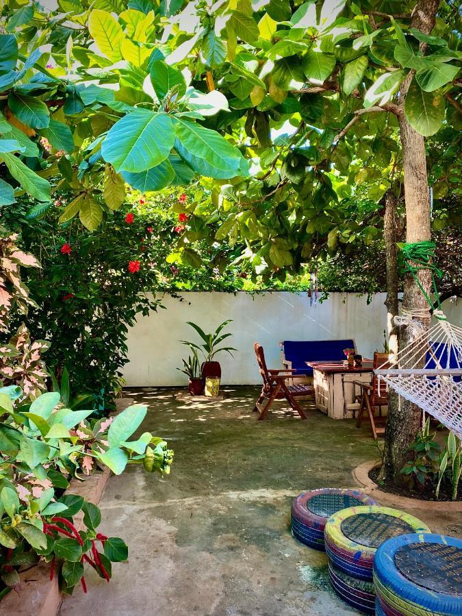 Villa Orchid Beach Guest House Bwejuu Exterior foto