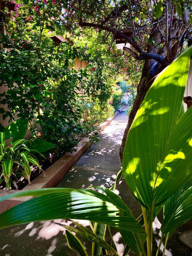 Villa Orchid Beach Guest House Bwejuu Exterior foto
